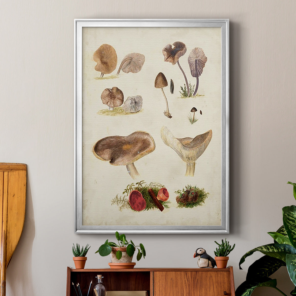 Mushroom Species III - Modern Framed Canvas Print