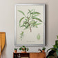 Antique Almond Botanical III - Modern Framed Canvas Print