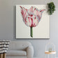 Tulip Garden I - Canvas Art Print