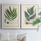 Collected Ferns III - Premium Framed Canvas 2 Piece Set - Ready to Hang