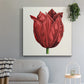 Tulip Garden II - Canvas Art Print