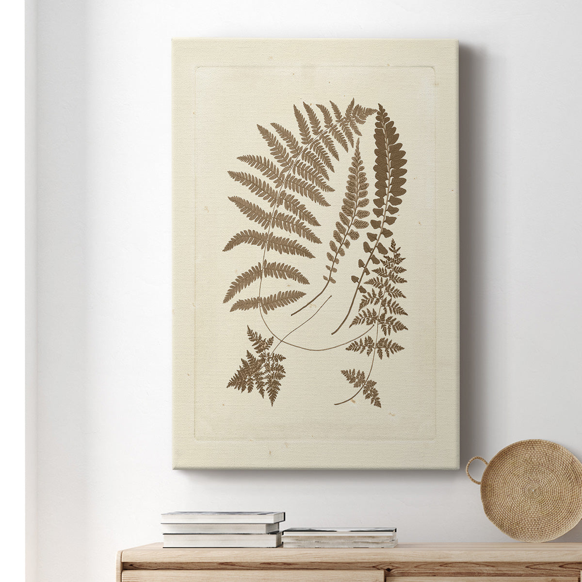 Sepia Ferns II - Canvas Art Print