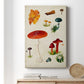 Mushroom Species VIII - Canvas Art Print