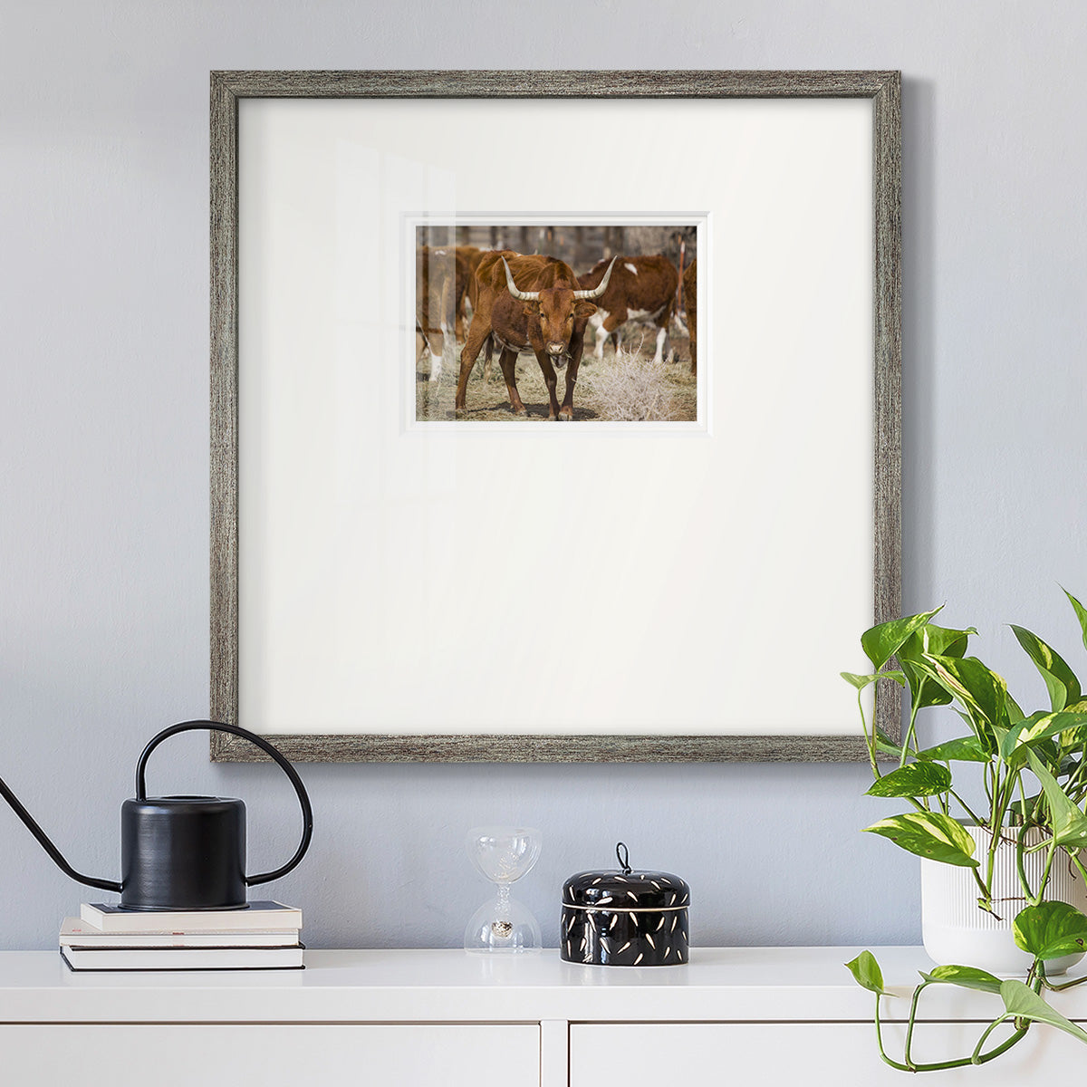 Longhorns - Double Matboard Framed Print