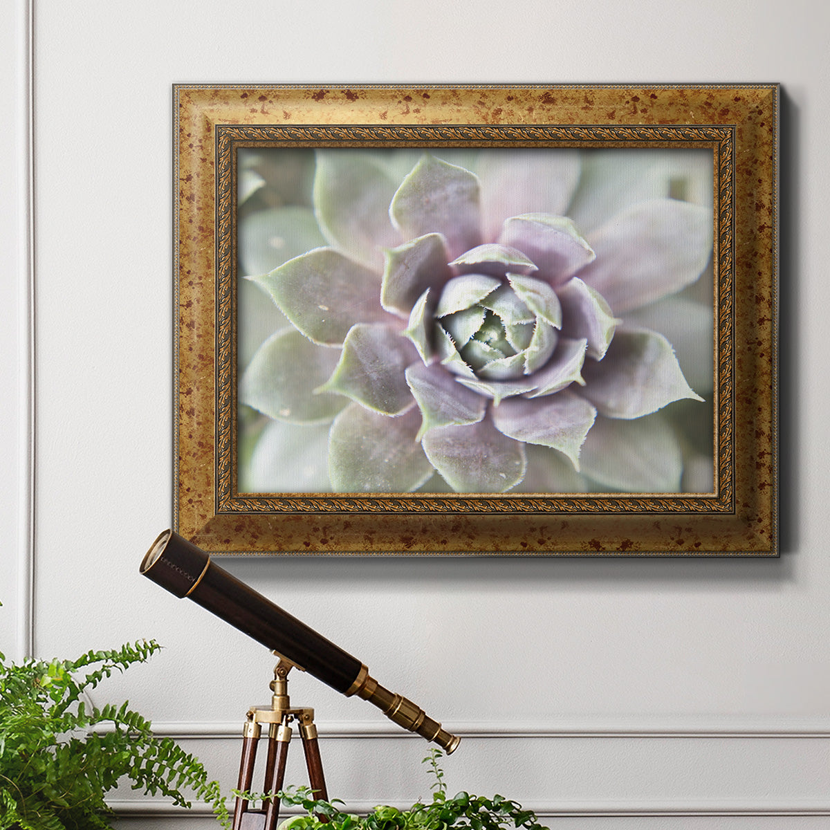 Succulent Glow II - Ornate Framed Canvas Print