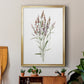 Dainty Botanical III - Modern Framed Canvas Print