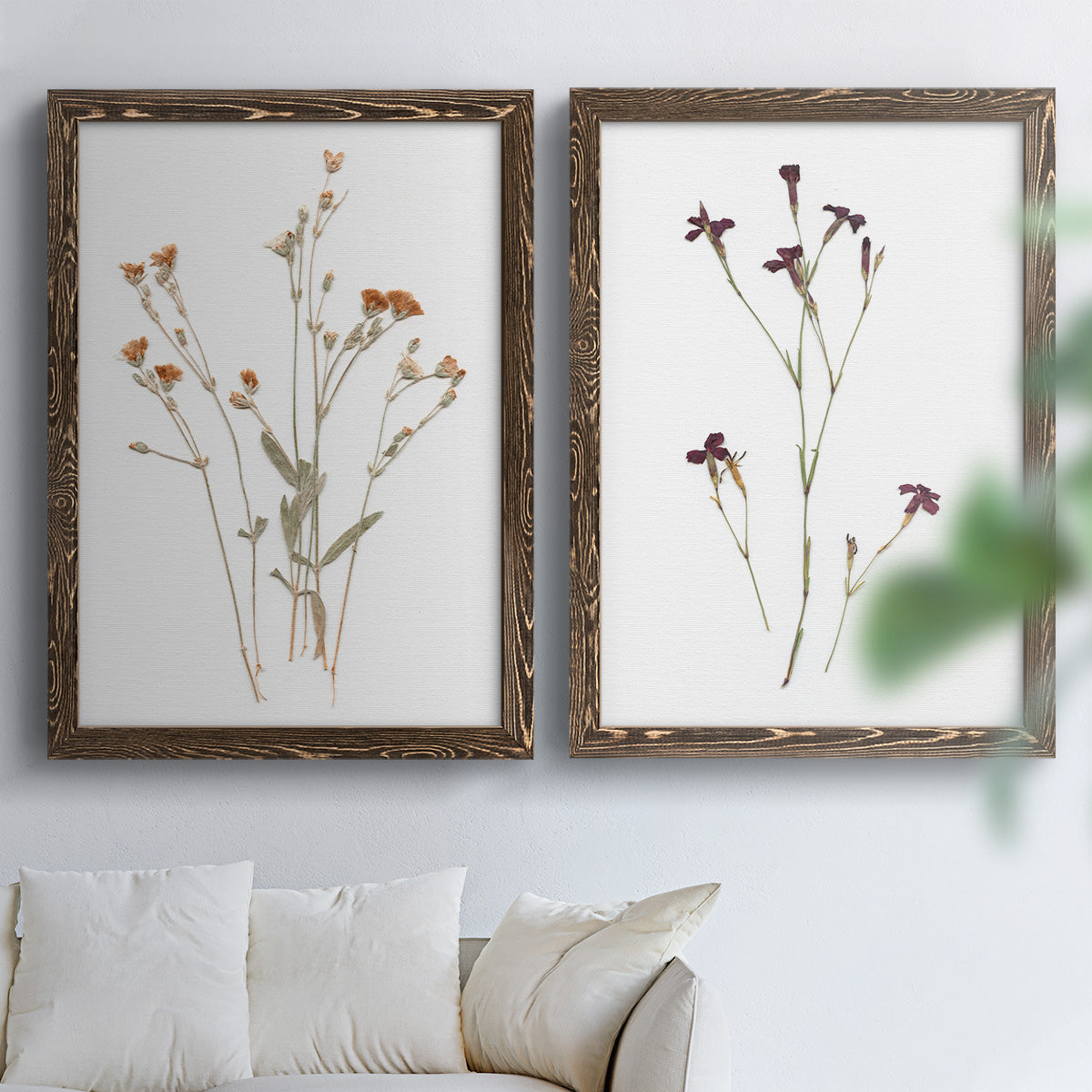 Pressed Botanical I - Premium Framed Canvas 2 Piece Set - Ready to Hang