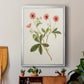 Flowers of the Seasons VIII - Modern Framed Canvas Print