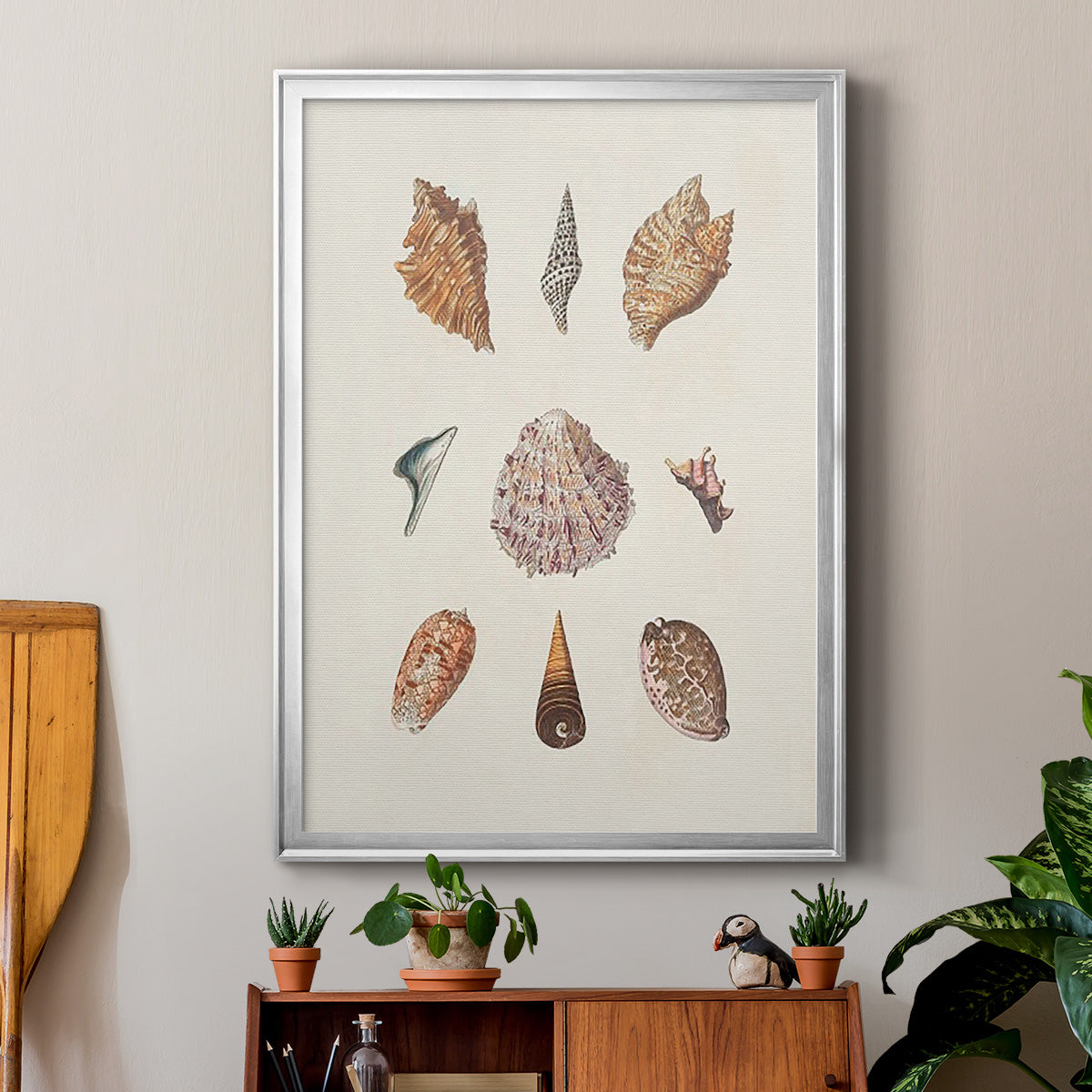 Knorr Shells & Coral VI - Modern Framed Canvas Print
