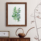 Eucalyptus II - Premium Canvas Framed in Barnwood - Ready to Hang