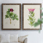 Set of two walnut barnwood framed canvas prints depicting peonies thistles leafy stems and archival cream paper arranged across two complementary compositions above a sofa in a bright living space.