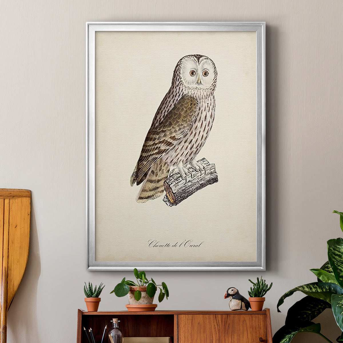 French Owls V - Modern Framed Canvas Print