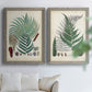 Collected Ferns I - Premium Framed Canvas 2 Piece Set - Ready to Hang