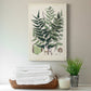 Collected Ferns VII Premium Gallery Wrapped Canvas - Ready to Hang