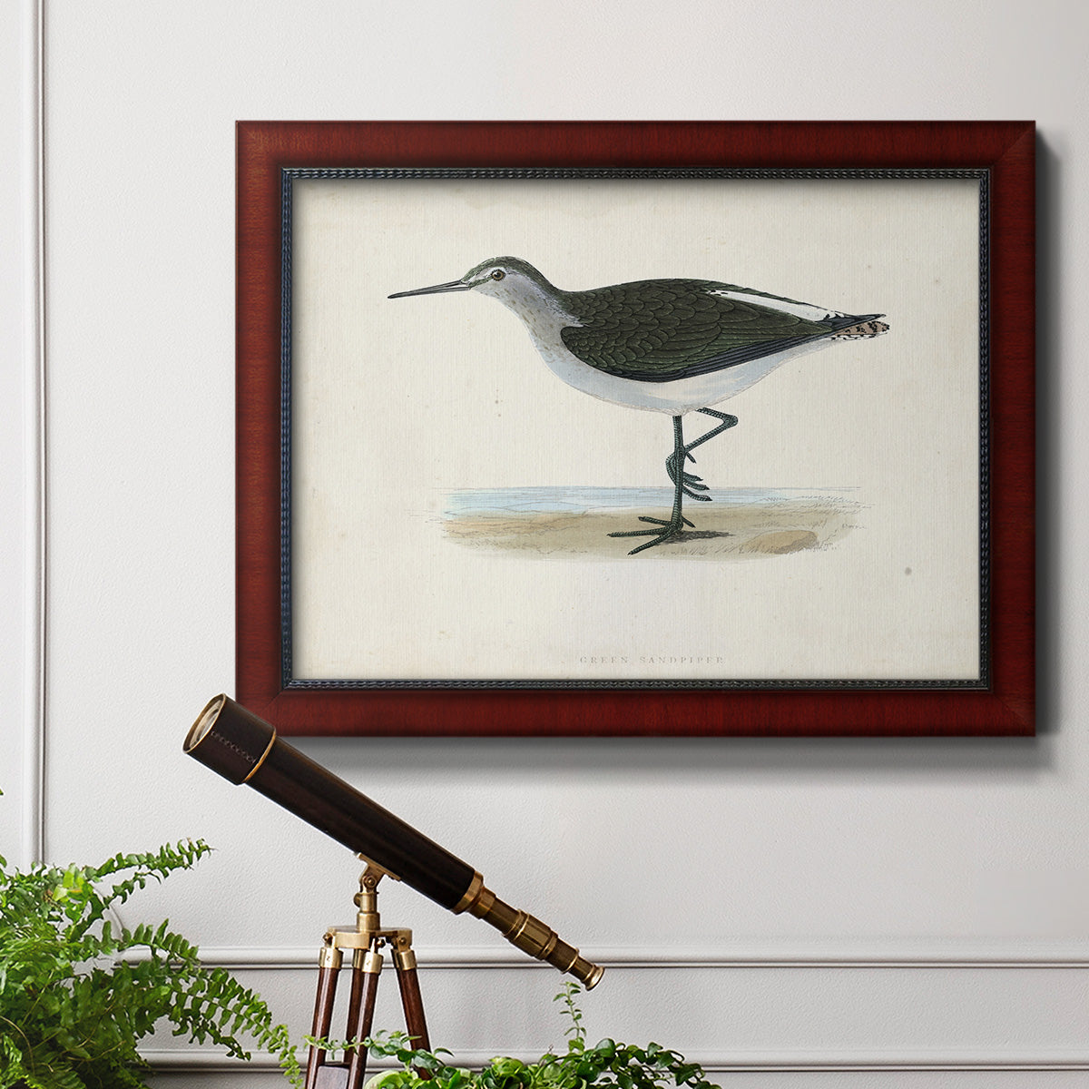 Morris Sandpipers VI Premium Framed Canvas- Ready to Hang