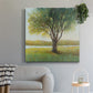 Shade Tree II-Premium Gallery Wrapped Canvas - Ready to Hang