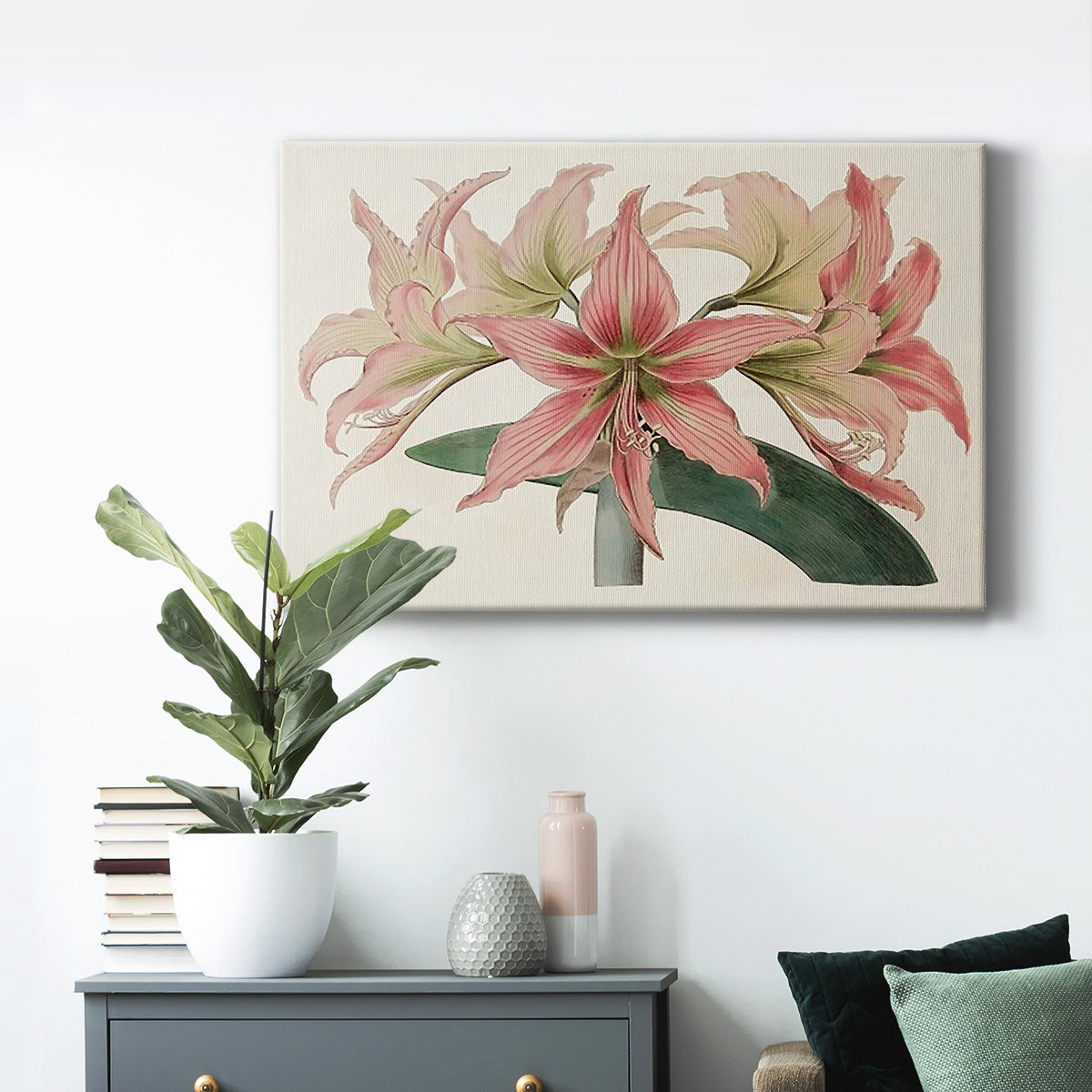 Amaryllis Varietals I Premium Gallery Wrapped Canvas - Ready to Hang