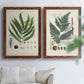 Set of two maple barnwood framed canvas prints depicting varied green fronds, roots, spores, and archival labels arranged across two complementary compositions above a sofa in a bright living space.
