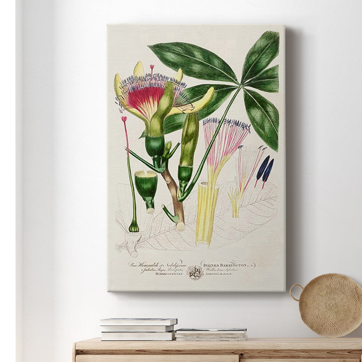 Imperial Tropical Botanical II Premium Gallery Wrapped Canvas - Ready to Hang