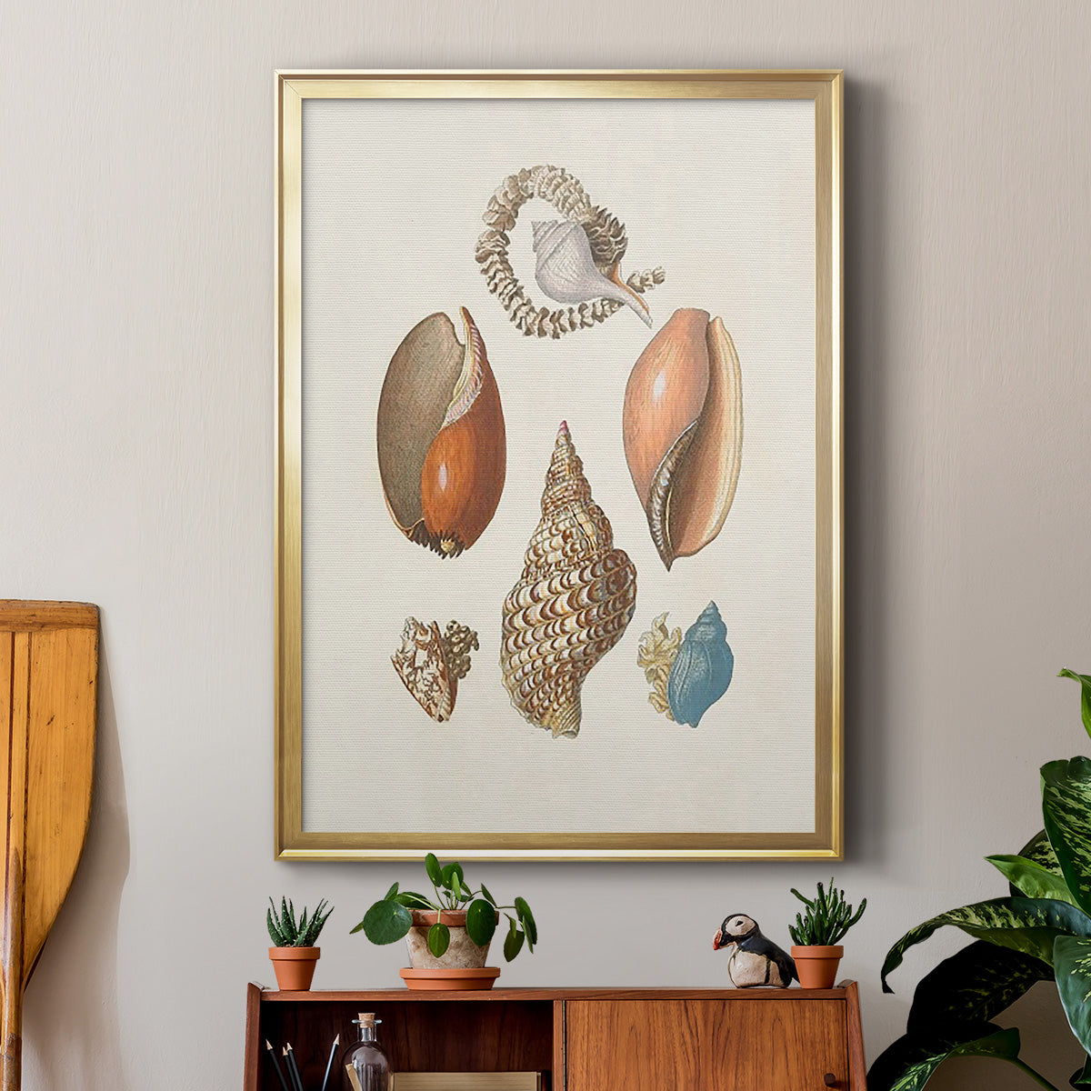 Knorr Shells & Coral I - Modern Framed Canvas Print