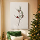 Twilight of Silver Pines - Canvas Art Print