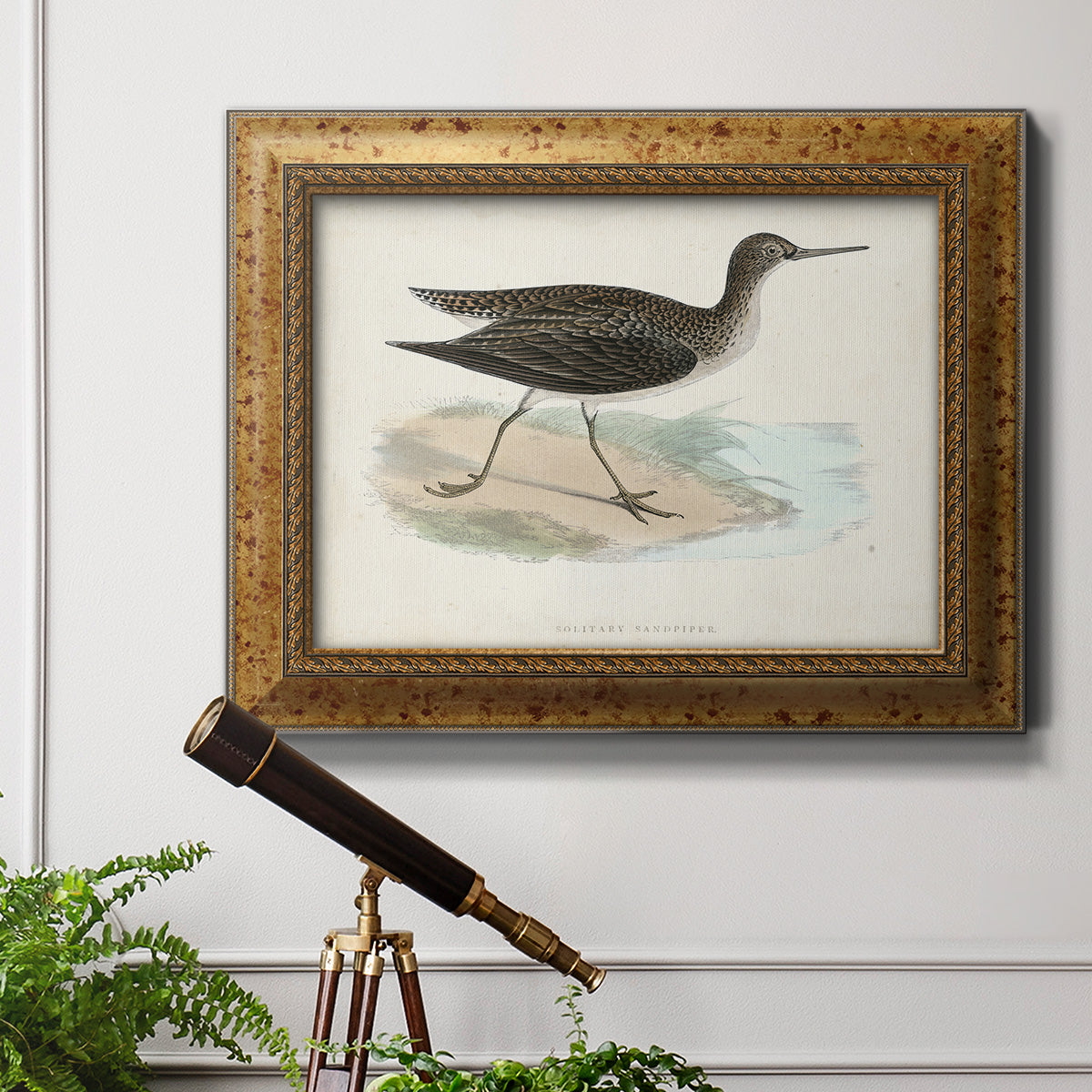 Morris Sandpipers VII Premium Framed Canvas- Ready to Hang