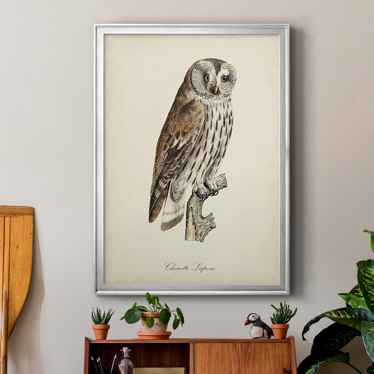 French Owls III - Modern Framed Canvas Print