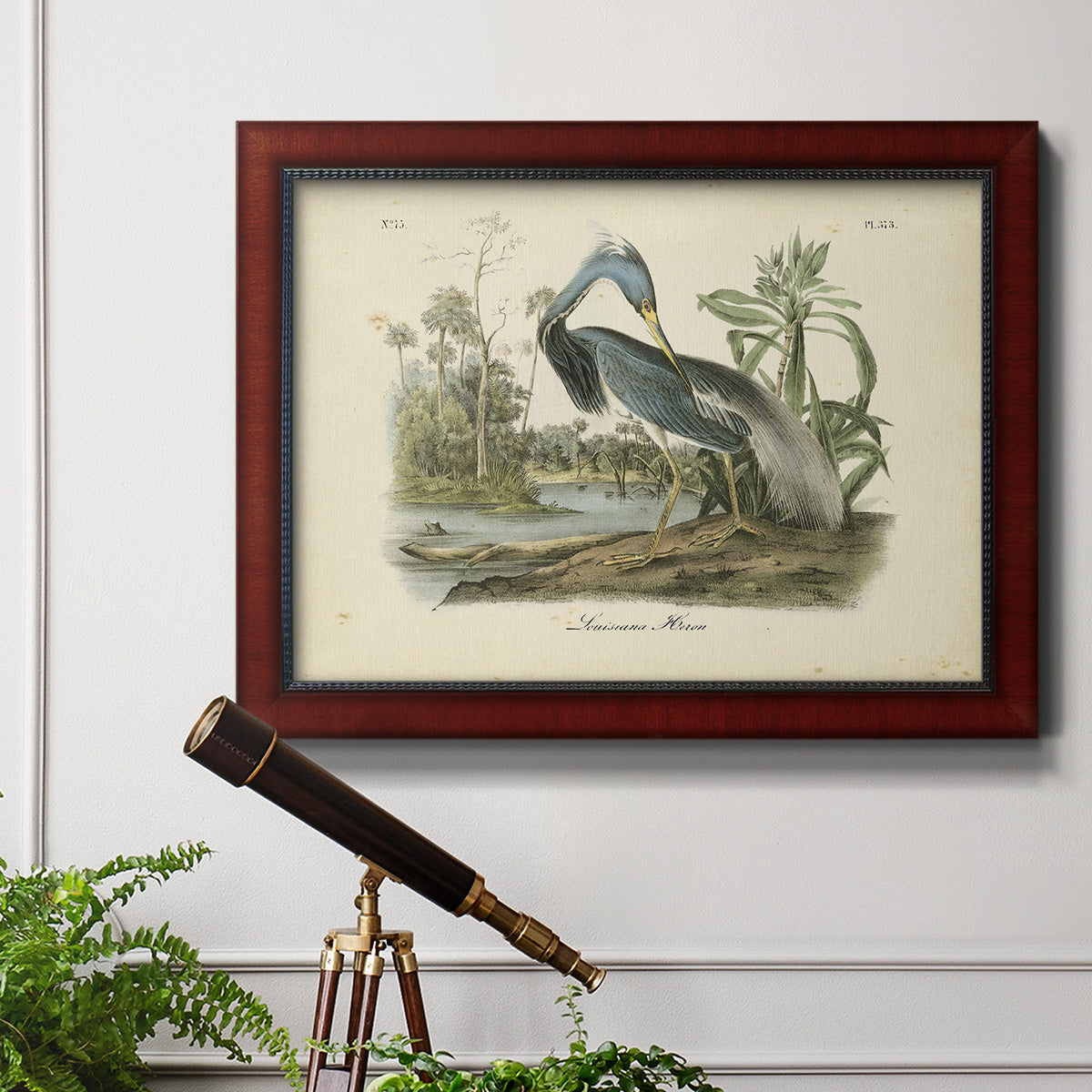 Audubons Louisiana Heron Premium Framed Canvas- Ready to Hang