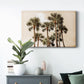 Blushing Palms Premium Gallery Wrapped Canvas - Ready to Hang