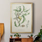 Antique Almond Botanical IV - Modern Framed Canvas Print