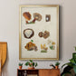 Mushroom Species I - Modern Framed Canvas Print