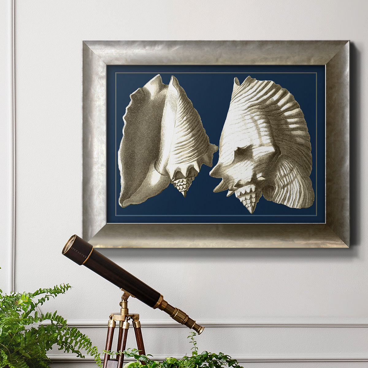 Conch Shells on Navy I Premium Framed Canvas- Ready to Hang