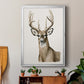 Handsome Whitetail I - Modern Framed Canvas Print