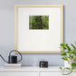 Calm of the Forest- Premium Framed Print Double Matboard