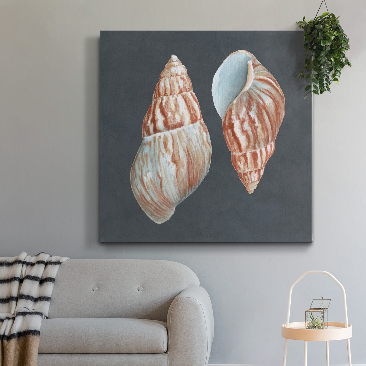 Shell on Slate V - Canvas Art Print