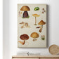 Mushroom Species II Premium Gallery Wrapped Canvas - Ready to Hang