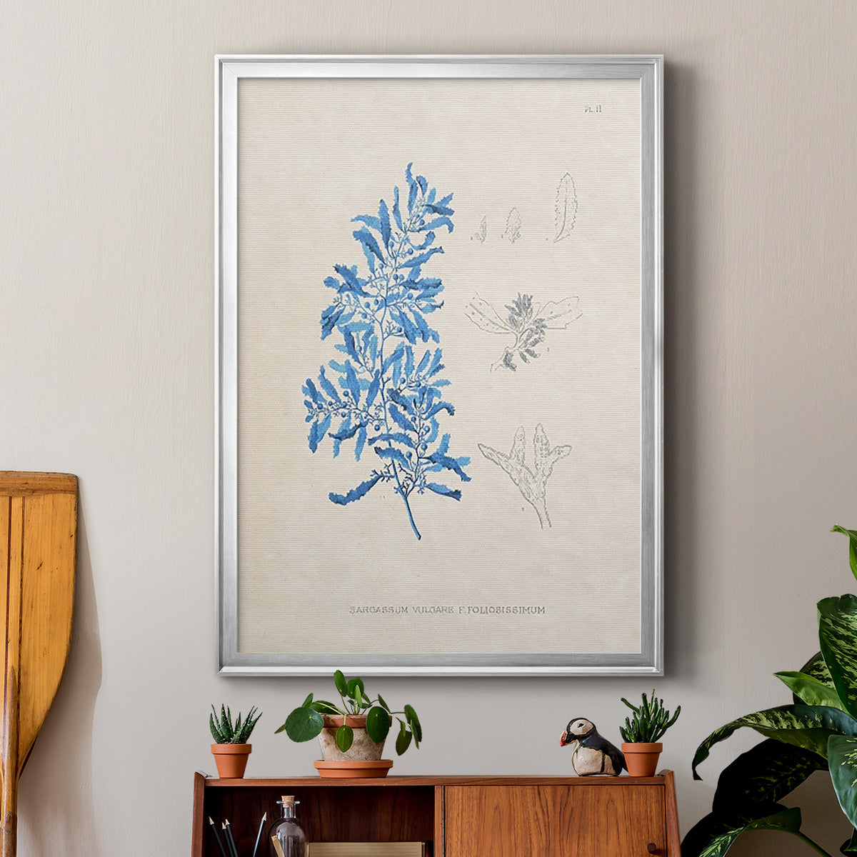 Blue Marine Algae VI - Modern Framed Canvas Print