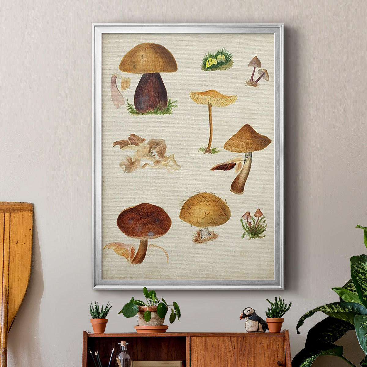 Mushroom Species II - Modern Framed Canvas Print
