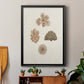 Knorr Shells & Coral VIII - Modern Framed Canvas Print