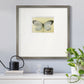 Chrysalis- Premium Framed Print Double Matboard