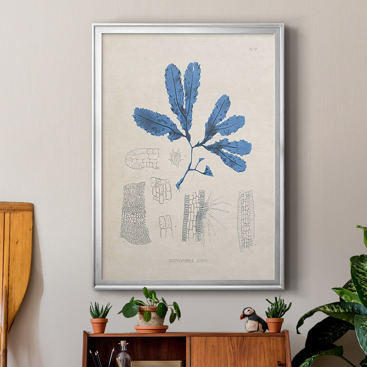 Blue Marine Algae VII - Modern Framed Canvas Print