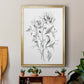 Wild Roses Sketch - Modern Framed Canvas Print