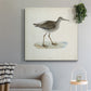 Morris Sandpipers V - Canvas Art Print