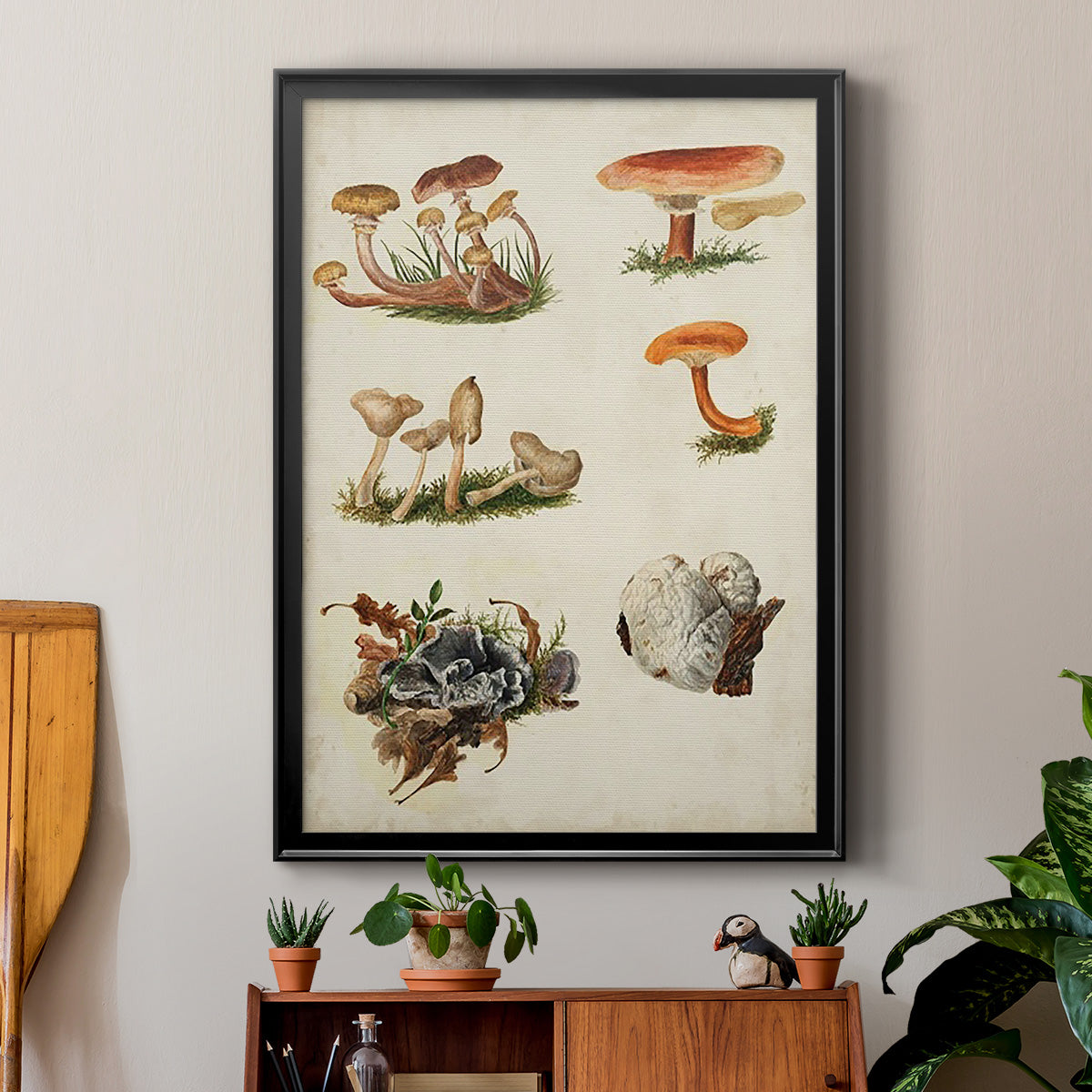 Mushroom Species X - Modern Framed Canvas Print