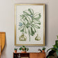 Buchoz Tropicals IX - Modern Framed Canvas Print