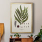 Botanical Society Ferns II - Modern Framed Canvas Print