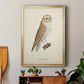 French Owls VI - Modern Framed Canvas Print