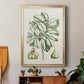 Buchoz Tropicals IX - Modern Framed Canvas Print