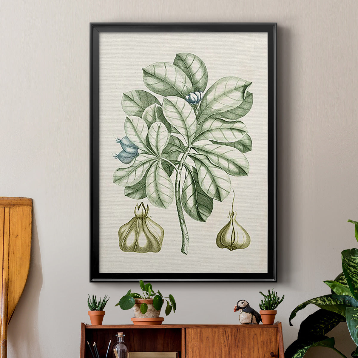 Buchoz Tropicals IX - Modern Framed Canvas Print