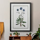 Soft Botanical II - Modern Framed Canvas Print
